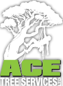 Ace Tree Logo