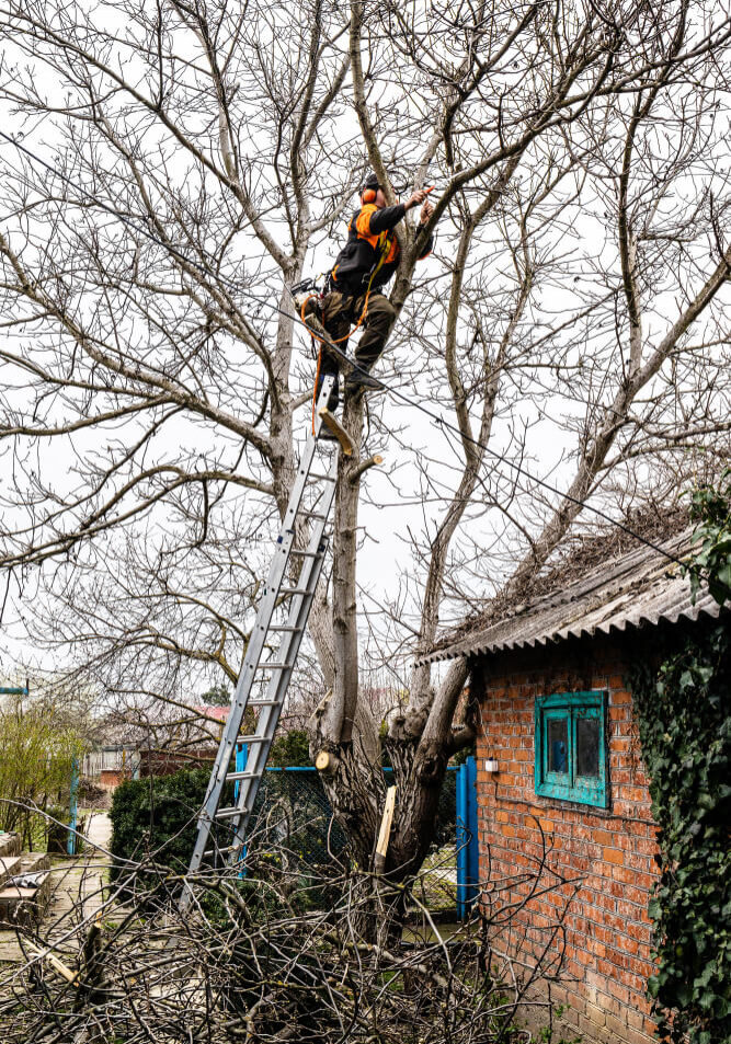 Commercial Dangerous