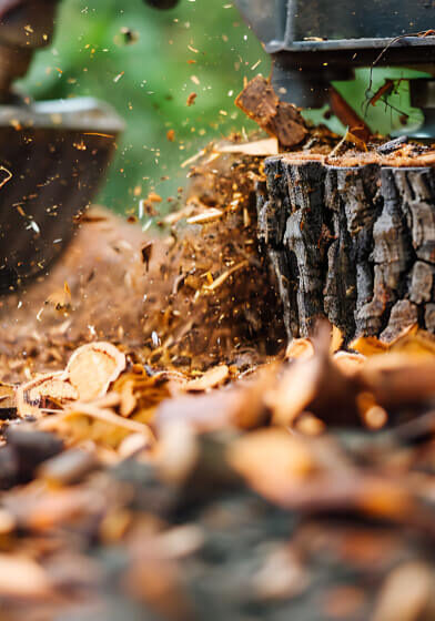 Residential Stump Removal